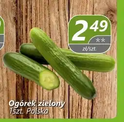 Społem Ogórek oferta