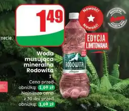 Dino Woda musująca mineralna Rodowita oferta
