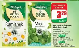 Dino Herbatka ziołowa Zielnik Polski oferta