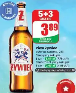 Dino Piwo Żywiec oferta