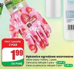 Dino Rękawice ogrodowe wzorowane oferta