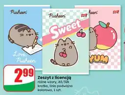 Dino Zeszyt z licencją oferta