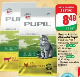 Dino Sucha karma dla kota Pupil oferta