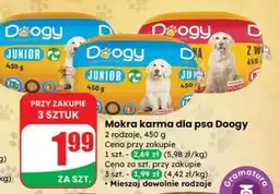 Dino Mokra karma dla psa Doogy oferta