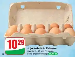 Dino Jaja świeże ściółkowe oferta
