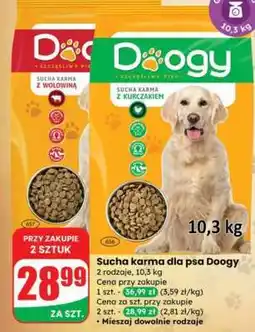 Dino Sucha karma dla psa Doogy oferta