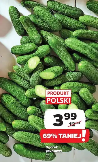 Netto Ogórek gruntowy Netto oferta