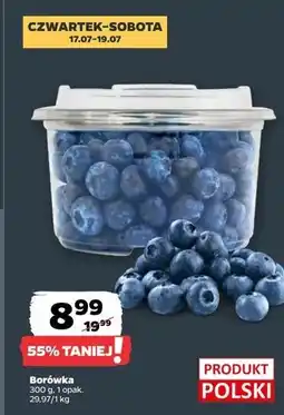 Netto Borówki amerykańskie oferta