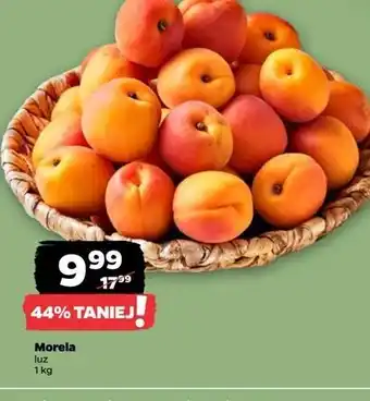 Netto Morele oferta