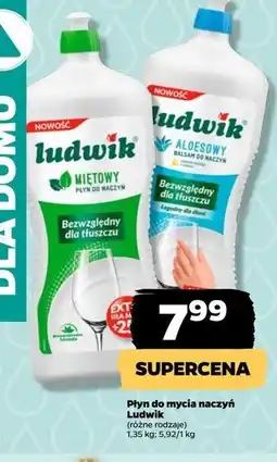 Netto Płyn do mycia naczyń miętowy Ludwik oferta