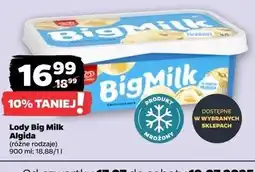 Netto Lody śmietankowe Algida Big Milk oferta