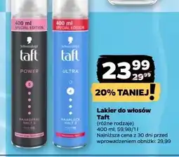 Netto Lakier do włosów Taft Ultra oferta
