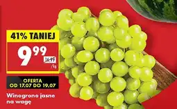 Biedronka Winogrona jasne Biedronka oferta