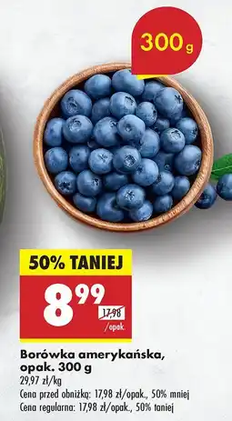 Biedronka Borówka amerykańska Biedronka oferta