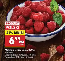 Biedronka Malina polska Biedronka oferta
