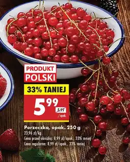 Biedronka Porzeczka Biedronka oferta