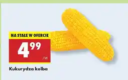 Biedronka Kukurydza kolba Biedronka oferta