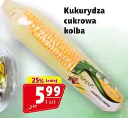 Prim Market Kukurydza cukrowa kolba Prim Market oferta
