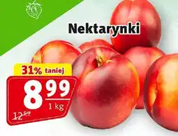 Prim Market Nektarynki Prim Market oferta