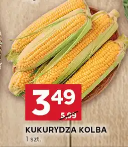 Stokrotka Kukurydza kolba Stokrotka oferta