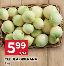 Stokrotka Cebula obierana Stokrotka oferta