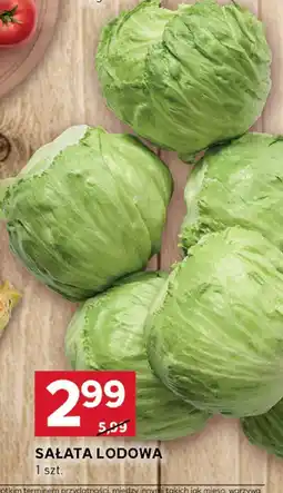 Stokrotka Sałata lodowa Stokrotka oferta