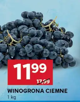 Stokrotka Winogrona ciemne Stokrotka oferta