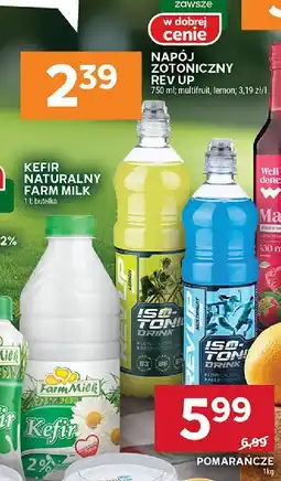 Stokrotka Pomarańcze Stokrotka oferta