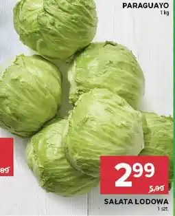 Stokrotka Sałata lodowa Stokrotka oferta