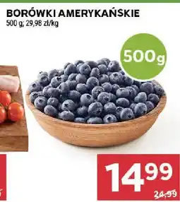 Stokrotka Borówki amerykańskie Stokrotka oferta