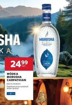 Stokrotka Market WÓDKA MOROSHA CARPATHIAN oferta