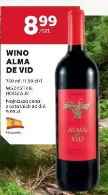 Stokrotka Market Wino Alma de Vid oferta