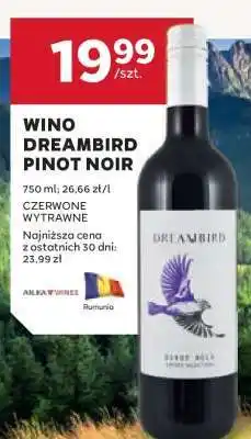 Stokrotka Market Wino Dreambird Pinot Noir oferta