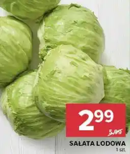 Stokrotka Market Sałata lodowa oferta