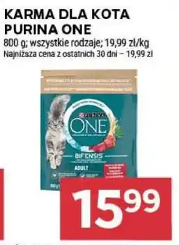 Stokrotka Market Karma dla kota Purina One oferta
