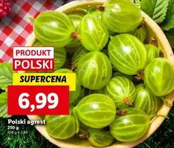 Lidl Polski agrest oferta