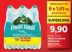 Lidl ŻYWIEC ZDRÓJ oferta
