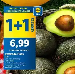 Lidl Awokado HASS oferta