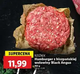 Lidl Hamburger z hiszpańskiej wołowiny Black Angus oferta