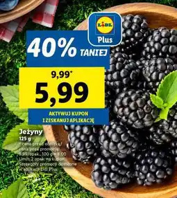 Lidl Jeżyny oferta