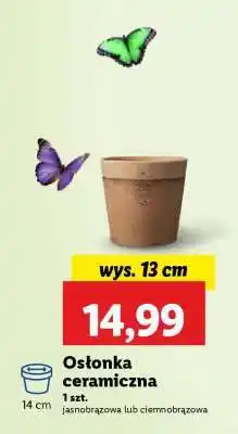 Lidl Osłonka ceramiczna oferta