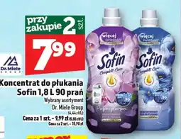 Topaz Koncentrat do płukania Sofin oferta