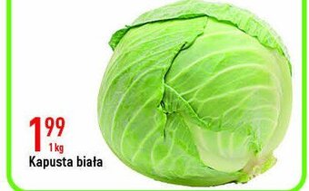 Dino Kapusta biała 1 KG oferta