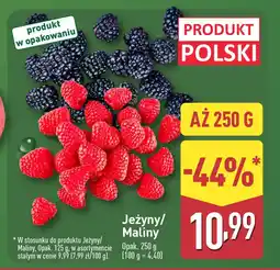 ALDI Jeżyny 1 opak. Aldi oferta
