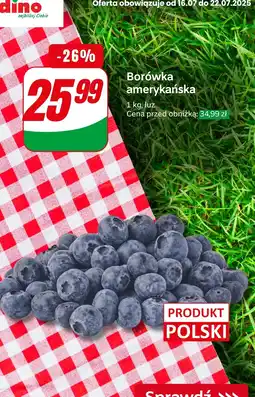 Dino Borówka amerykańska Dino oferta