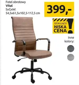 Black Red White Fotel Vital oferta