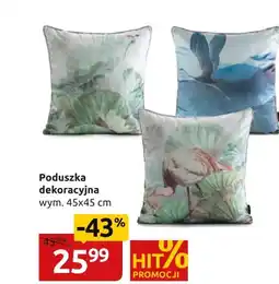 Black Red White Poduszka dekoracyjna oferta