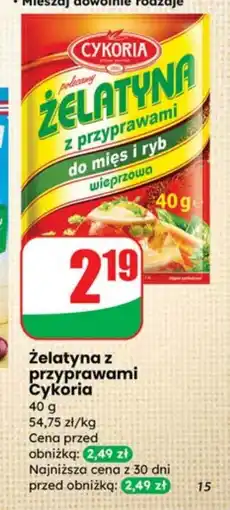 Dino Żelatyna Cykoria oferta