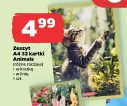 Netto Zeszyt A4 32 kartki oferta