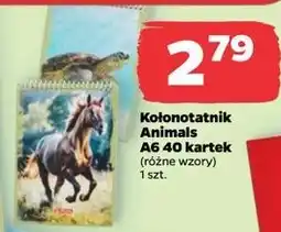 Netto Kołonotatnik animals a6 40 k. Herlitz oferta